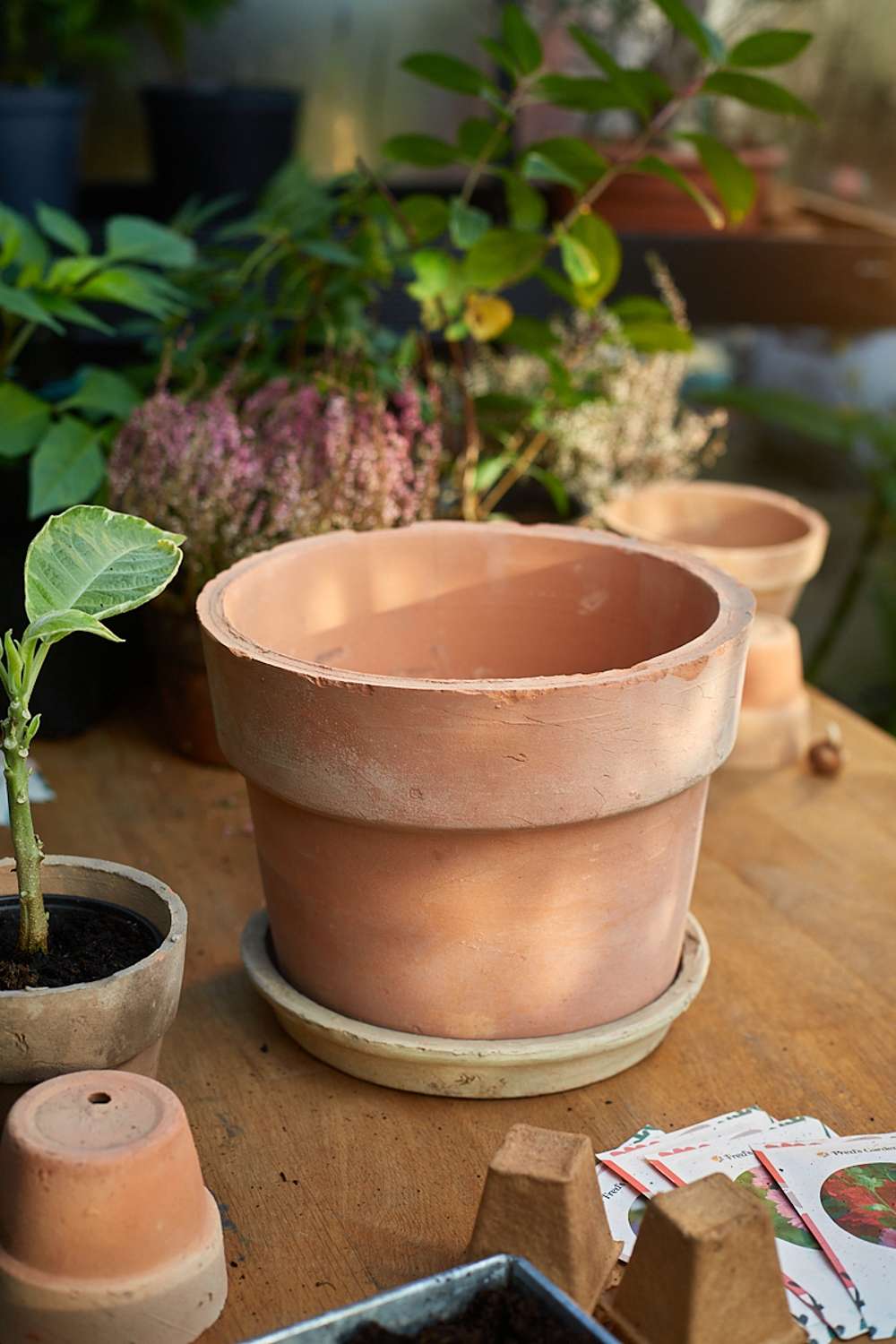 Terracotta krukke - Ø: 26 cm